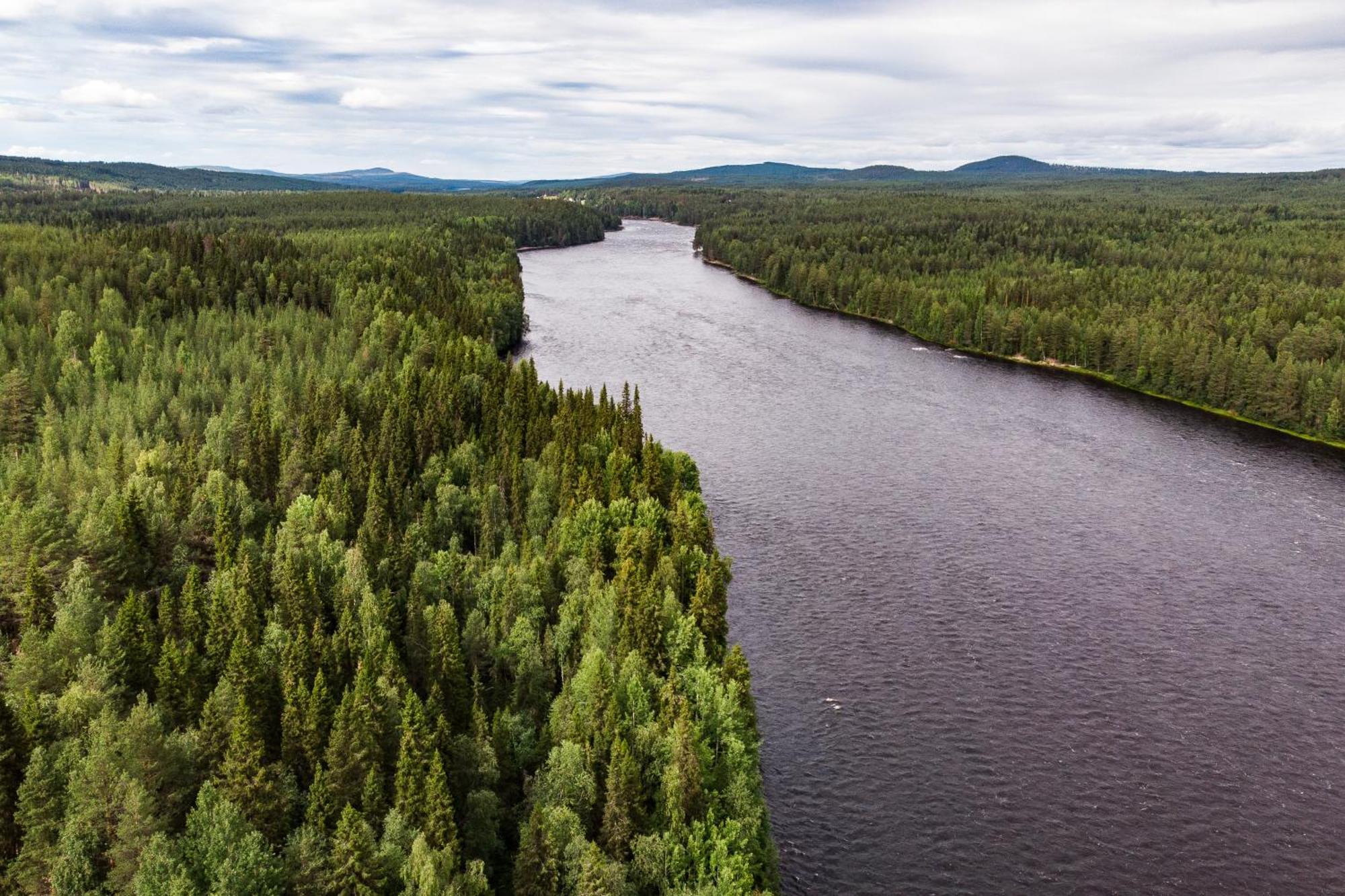 Blueberry Lodge 5 Personnes Mjolan Экстерьер фото