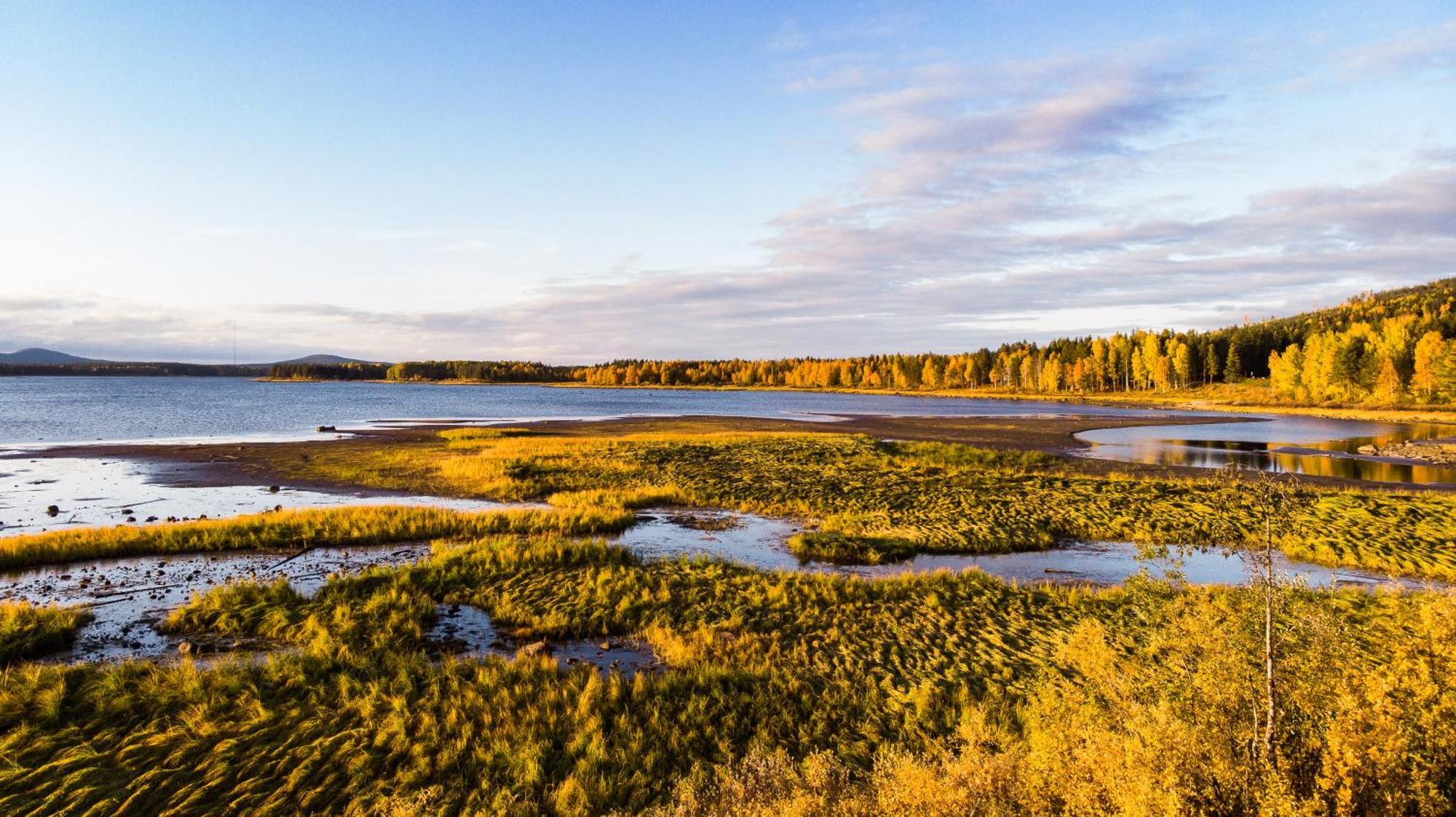 Blueberry Lodge 5 Personnes Mjolan Экстерьер фото